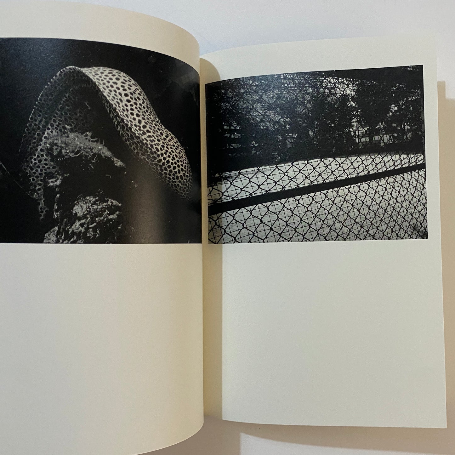 Daido Moriyama K.K. Photobook