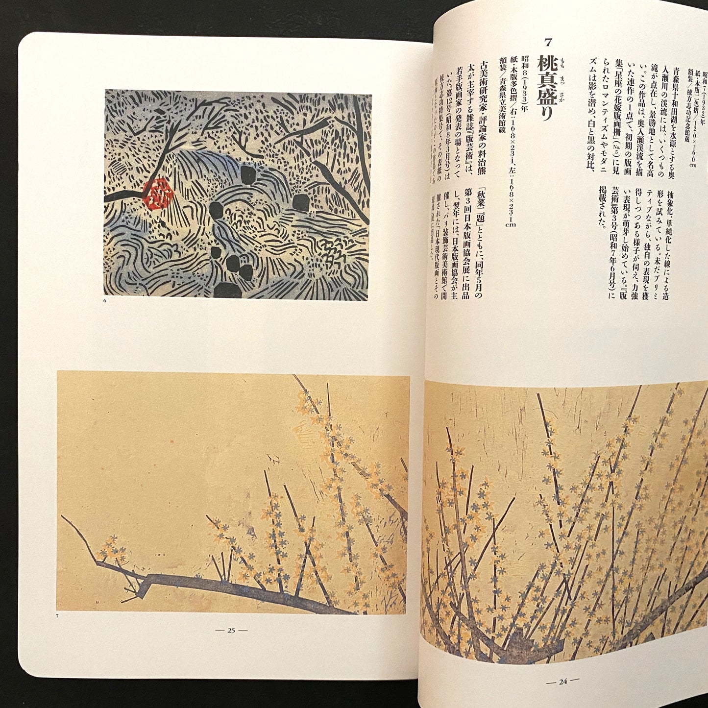 Becoming Van Gogh in Wadaba - Shiko Munakata of the world