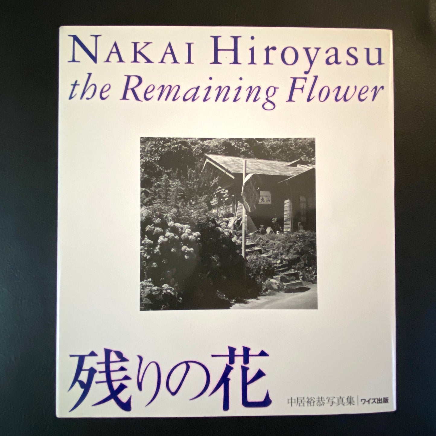 The remaining flowers - Hiroyasu Nakai