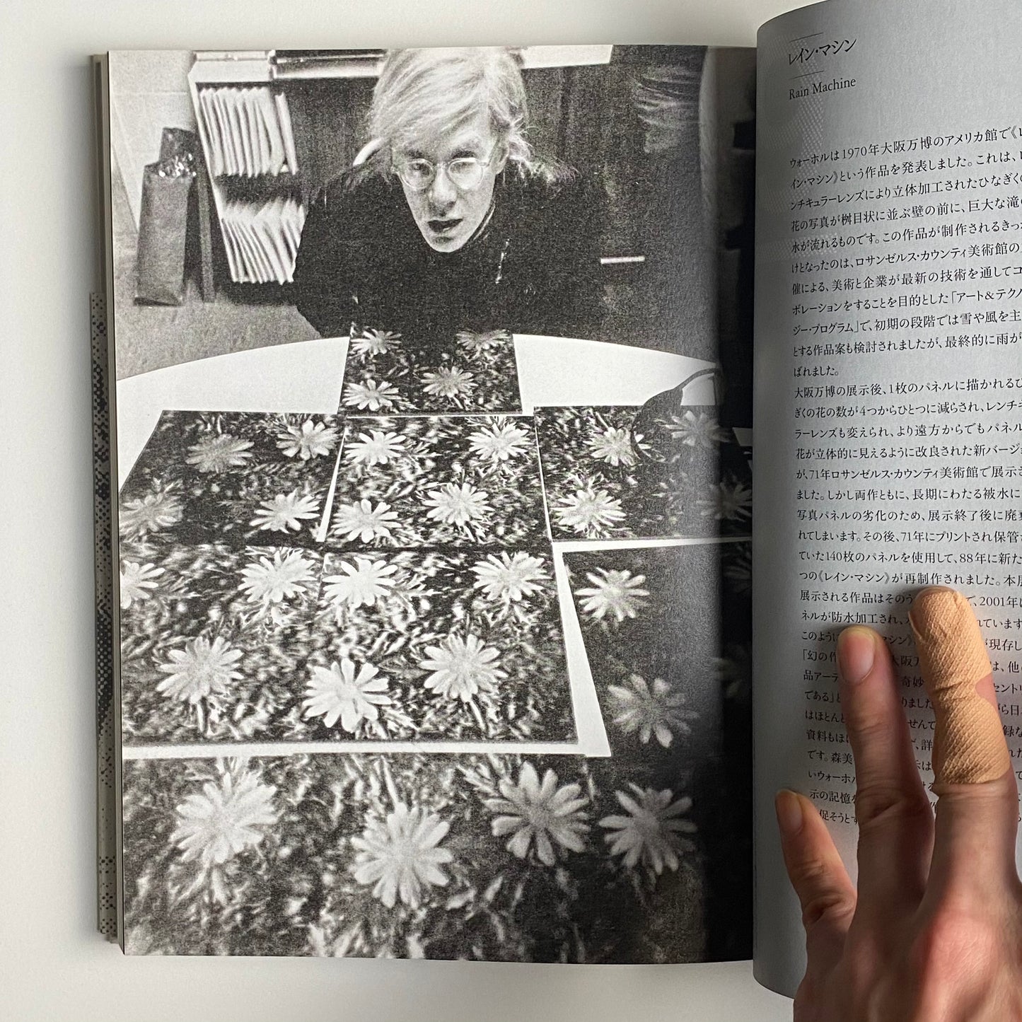 Andy Warhol: 15 Minutes of Eternity, catalogue