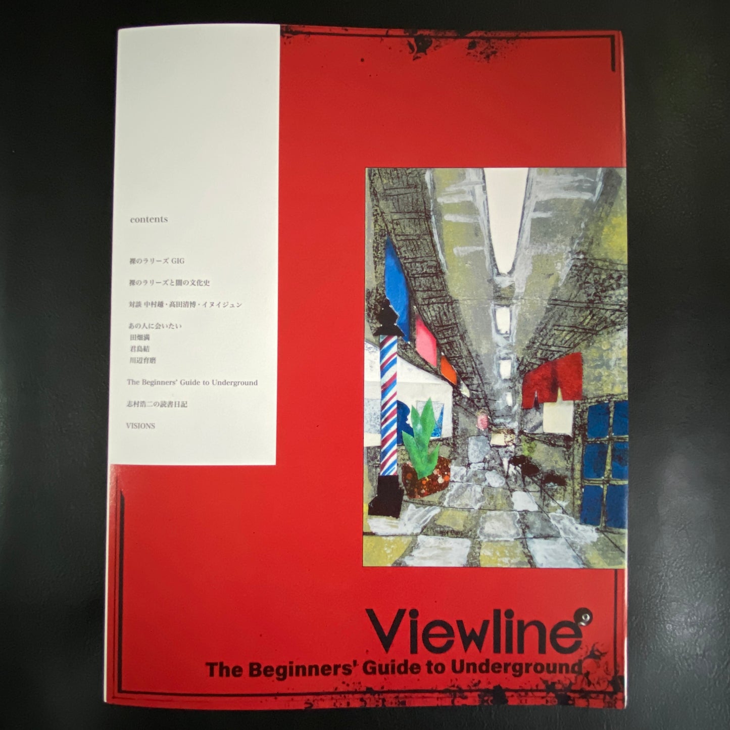 viewline vol.2 - about Les Rallizes Denudes