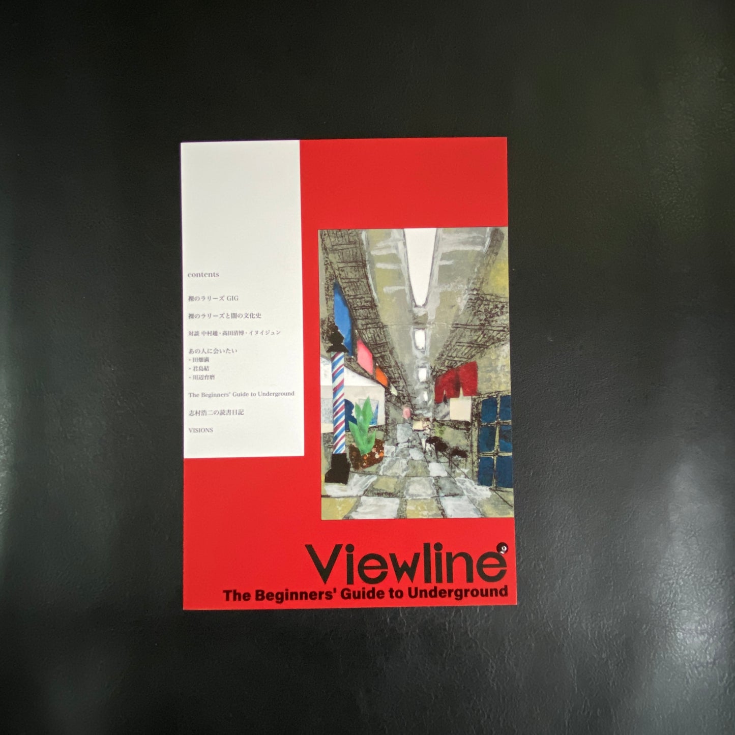 viewline vol.2 - about Les Rallizes Denudes