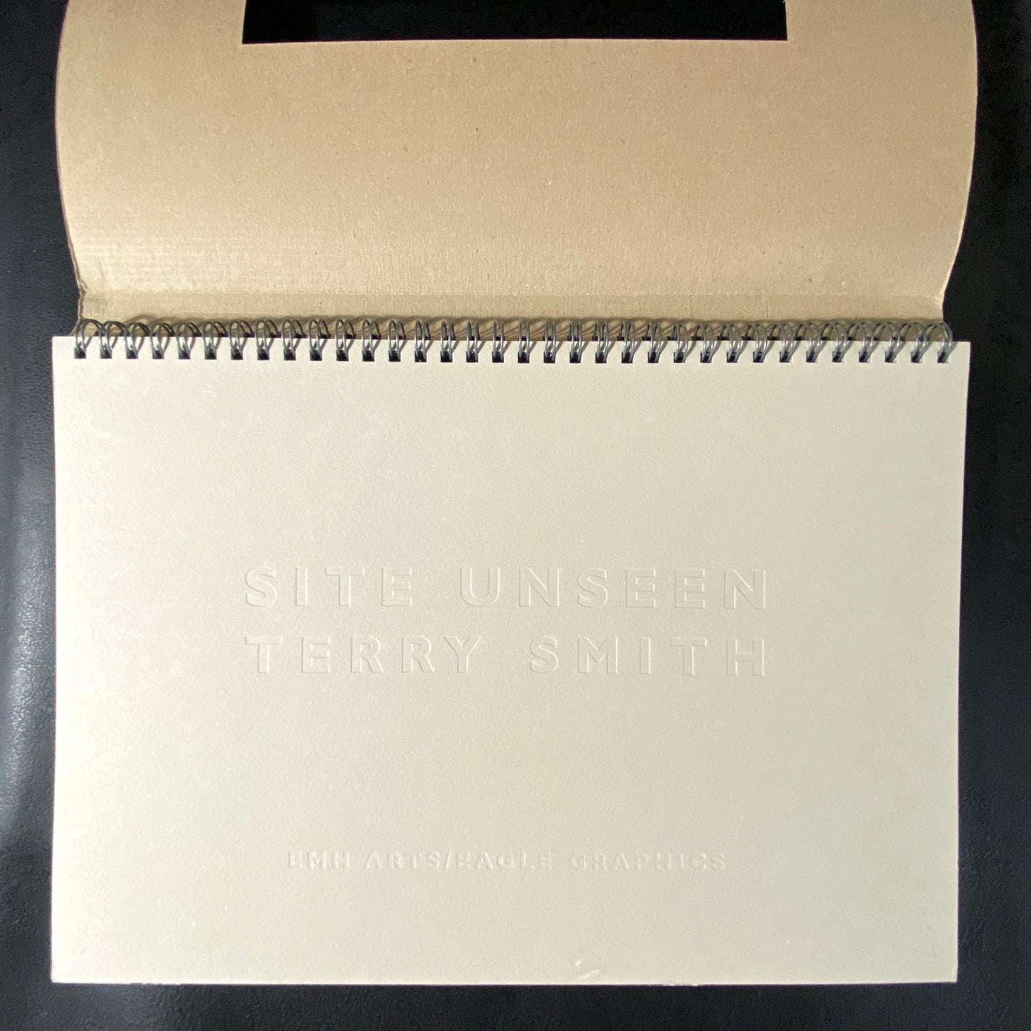 Site Unseen: Terry Smith