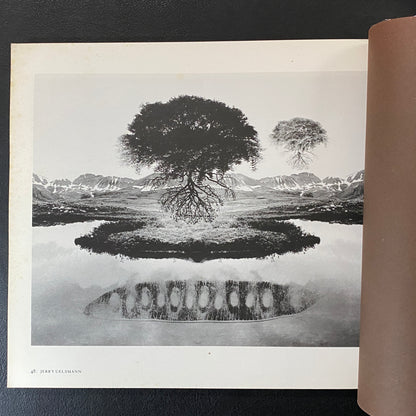 The Land twentieth century landscape photographs