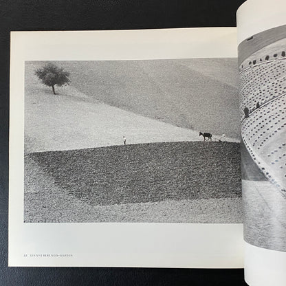 The Land twentieth century landscape photographs