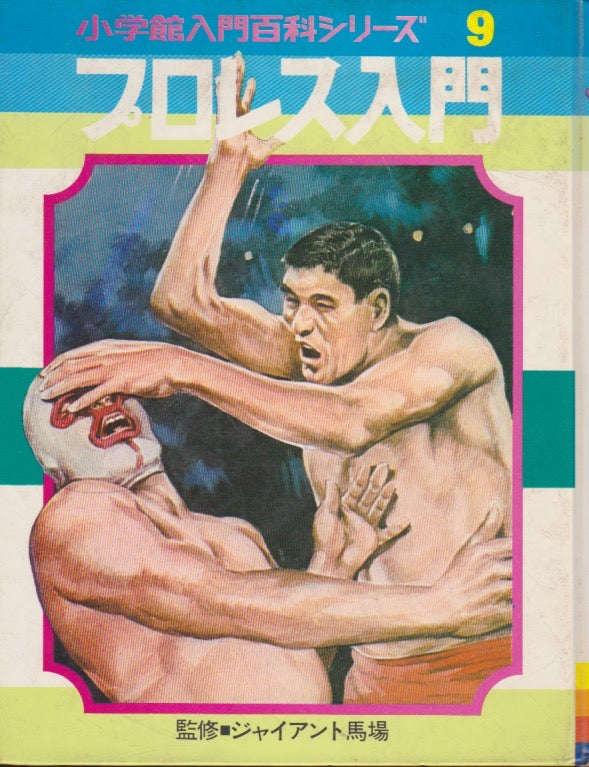 A Beginner's Guide to Japanese Pro Wrestling