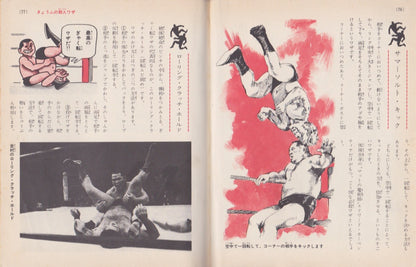 A Beginner's Guide to Japanese Pro Wrestling