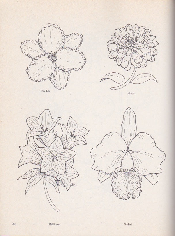 Floral Designs and Motifs