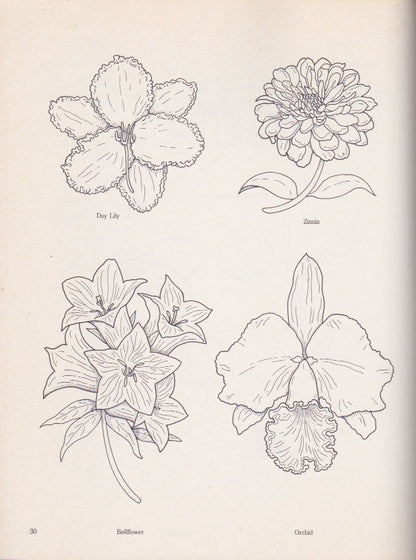 Floral Designs and Motifs